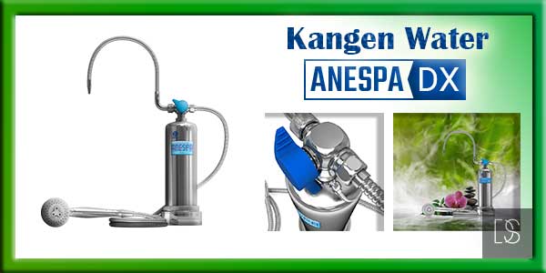 harga mesin kangen water anespa dx